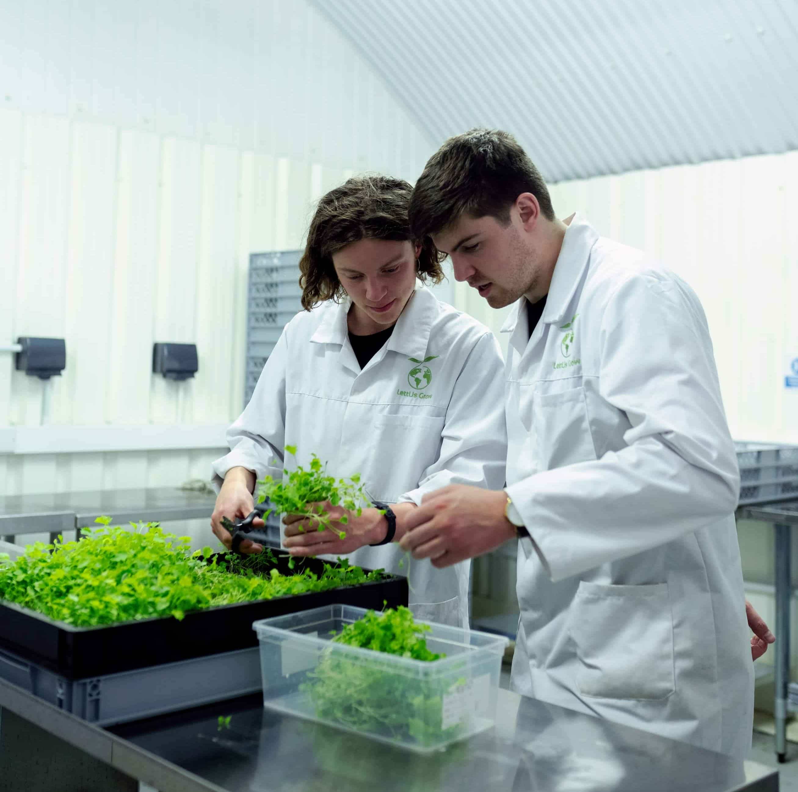 One of our interns in the lab at the Museum..